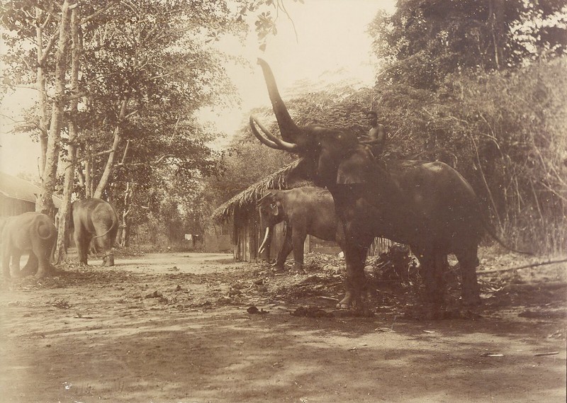 Bên trong Thảo Cầm Viên Sài Gòn năm 1902